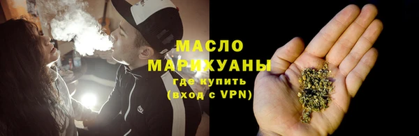 амф Тайга