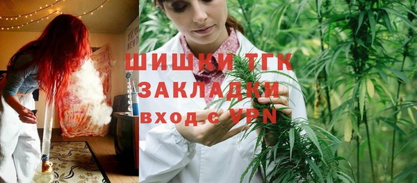гашик Белокуриха