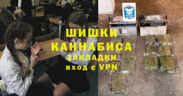 гашик Белокуриха