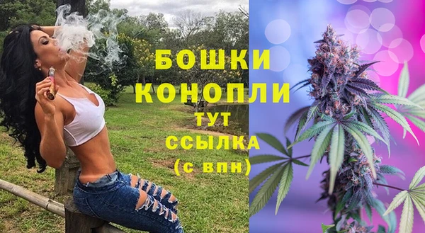 гашик Белокуриха